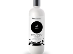Progroom Black Shampoo – 500 mL