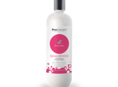 ProGroom Everyday Shampoo – 500 mL