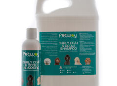 PetWay Curly Coat & Oodle SHAMPOO 5L